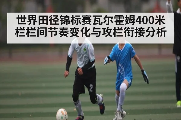 世界田径锦标赛瓦尔霍姆400米栏栏间节奏变化与攻栏衔接分析